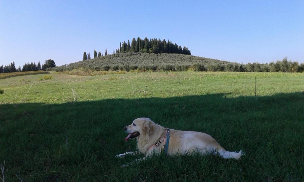 Dolce Cuore Luxe Apartment Chianti Florence Male Romantyczne Mieszkanie San Donato in Poggio Exteriér fotografie